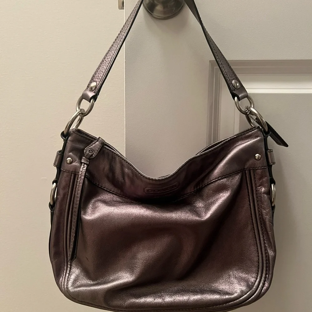 Coach Leather Zoe Hobo Bag